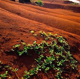 玩家吐槽《红霞岛》赶工明显：水槽和烟囱都没做好
